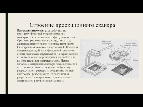 Строение проекционного сканера Проекционные сканеры работают по принципу фотографической камеры и