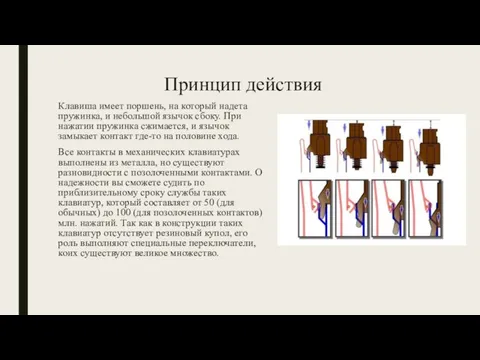 Принцип действия Клавиша имеет поршень, на который надета пружинка, и небольшой