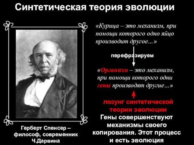 Синтетическая теория эволюции = Герберт Спенсер – философ, современник Ч.Дарвина «Курица