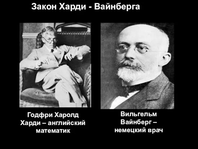 Годфри Харолд Харди – английский математик Вильгельм Вайнберг – немецкий врач Закон Харди - Вайнберга