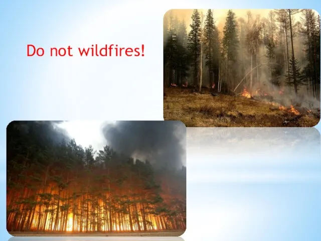 Do not wildfires!