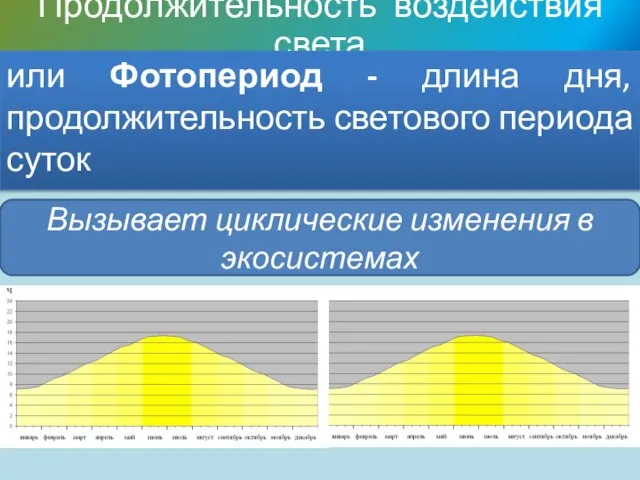 Продолжительность воздействия света или Фотопериод - длина дня, продолжительность светового периода