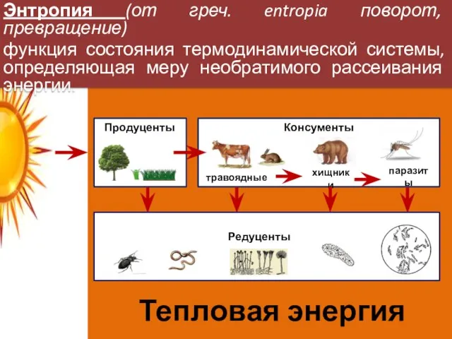 Энтропия (от греч. entropia поворот, превращение) функция состояния термодинамической системы, определяющая меру необратимого рассеивания энергии.