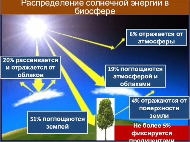 6% отражается от атмосферы 19% поглощаются атмосферой и облаками 4% отражаются