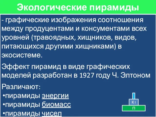 - графические изображения соотношения между продуцентами и консументами всех уровней (травоядных,