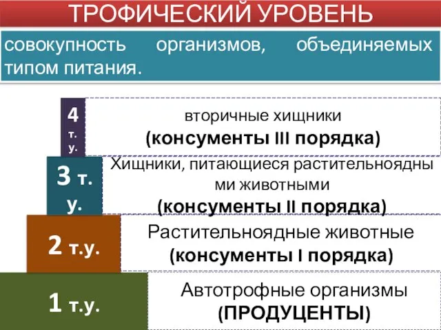 ТРОФИЧЕСКИЙ УРОВЕНЬ совокупность организмов, объединяемых типом питания. Автотрофные организмы (ПРОДУЦЕНТЫ) 1