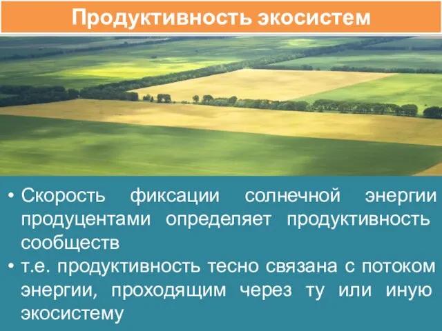 Продуктивность экосистем Скорость фиксации солнечной энергии продуцентами определяет продуктивность сообществ т.е.