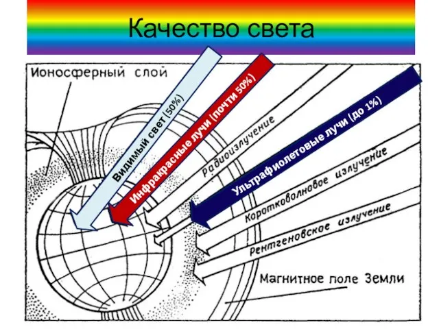 Качество света Инфракрасные лучи (почти 50%) Видимый свет (50%) Ультрафиолетовые лучи (до 1%)