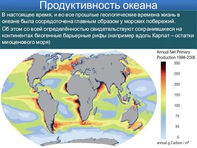 Продуктивность океана В настоящее время, и во все прошлые геологические времена