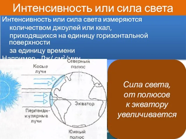 Интенсивность или сила света Интенсивность или сила света измеряются количеством джоулей