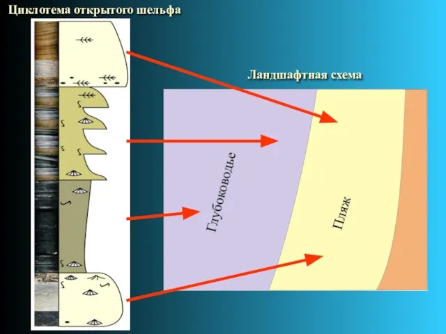 Циклотема открытого шельфа Ландшафтная схема