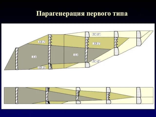 Парагенерация первого типа