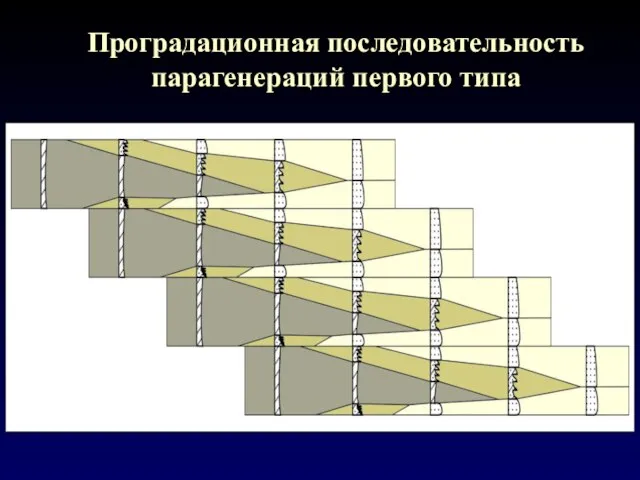 Проградационная последовательность парагенераций первого типа