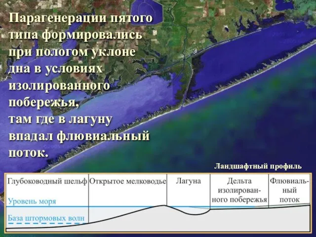 Парагенерации пятого типа формировались при пологом уклоне дна в условиях изолированного