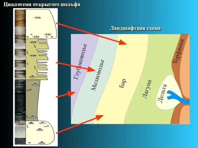 Циклотема открытого шельфа Ландшафтная схема