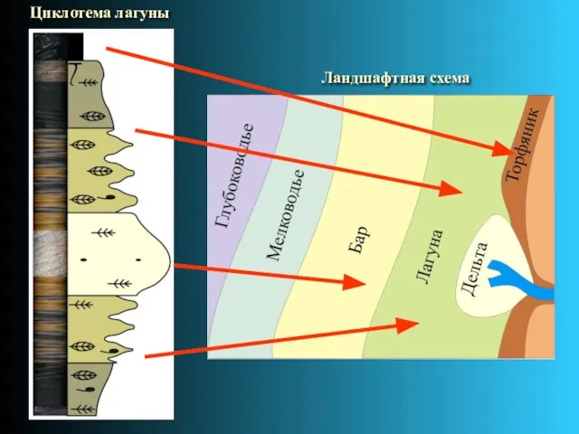 Циклотема лагуны Ландшафтная схема