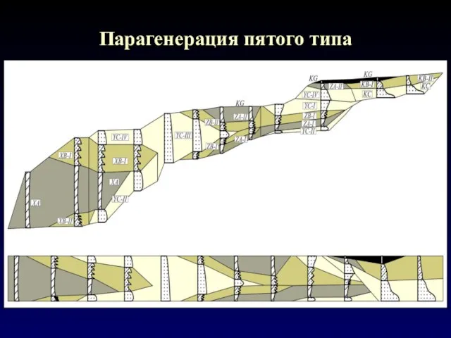 Парагенерация пятого типа