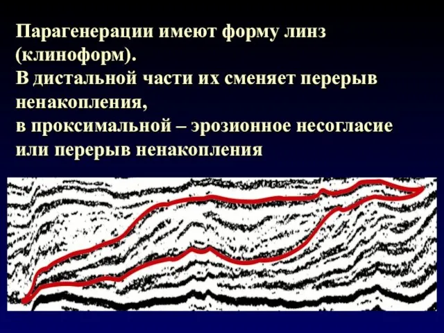 Парагенерации имеют форму линз (клиноформ). В дистальной части их сменяет перерыв