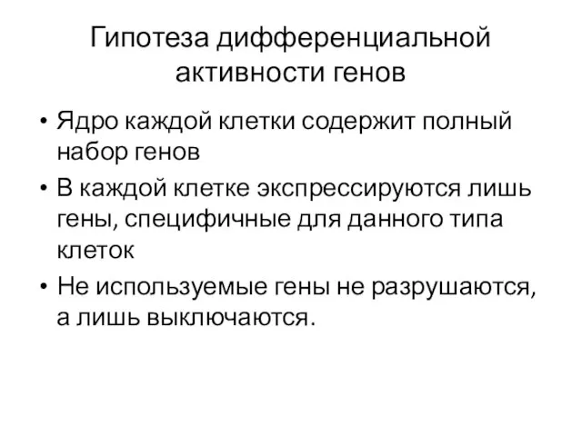 Гипотеза дифференциальной активности генов Ядро каждой клетки содержит полный набор генов