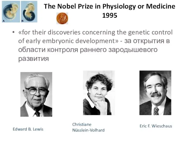 The Nobel Prize in Physiology or Medicine 1995 «for their discoveries