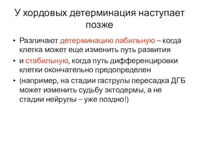 У хордовых детерминация наступает позже Различают детерминацию лабильную – когда клетка