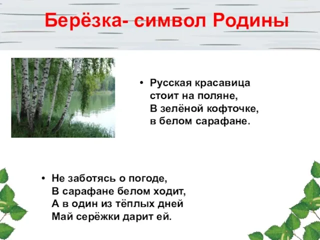Русская красавица стоит на поляне, В зелёной кофточке, в белом сарафане.