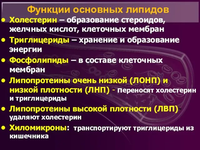 Функции основных липидов Холестерин – образование стероидов, желчных кислот, клеточных мембран