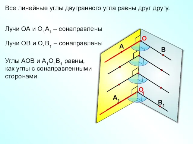 Все линейные углы двугранного угла равны друг другу. 1 Лучи ОА