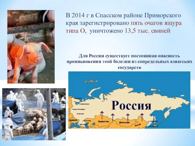 В 2014 г в Спасском районе Приморского края зарегистрировано пять очагов