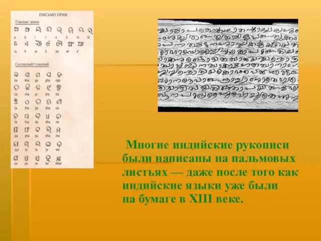 Многие индийские рукописи были написаны на пальмовых листьях — даже после