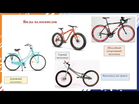 Виды велосипедов Дорожный велосипед Горный велосипед Шоссейный (спортивный) велосипед Велосипед для триала.
