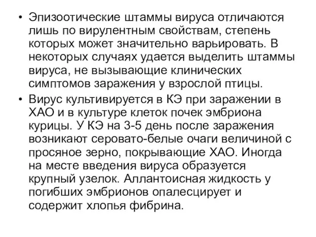 Эпизоотические штаммы вируса отличаются лишь по вирулентным свойствам, степень которых может