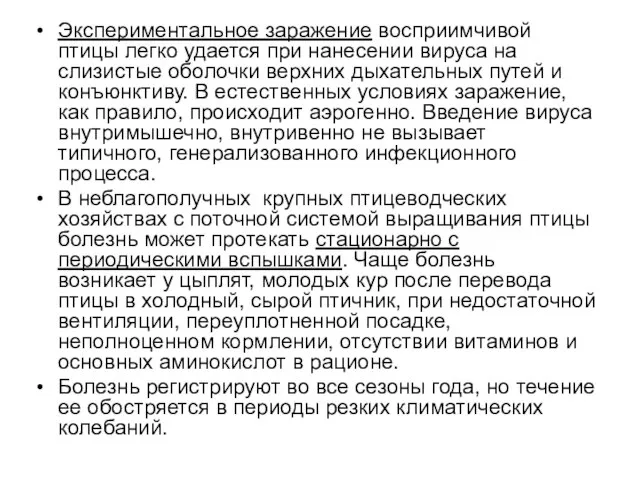 Экспериментальное заражение восприимчивой птицы легко удается при нанесении вируса на слизистые