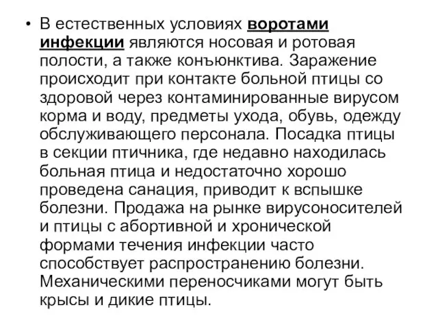 В естественных условиях воротами инфекции являются носовая и ротовая полости, а