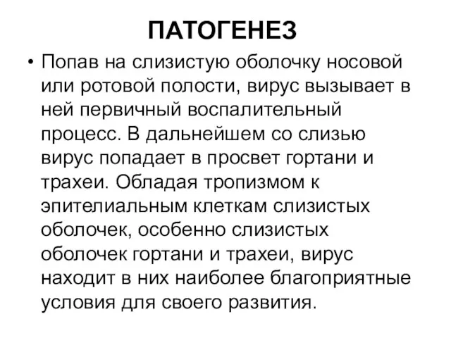 ПАТОГЕНЕЗ Попав на слизистую оболочку носовой или ротовой полости, вирус вызывает