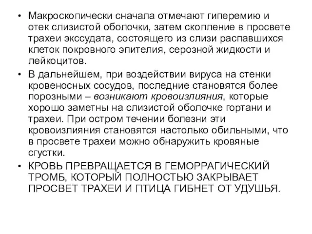 Макроскопически сначала отмечают гиперемию и отек слизистой оболочки, затем скопление в