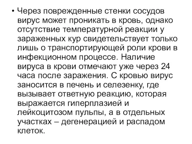 Через поврежденные стенки сосудов вирус может проникать в кровь, однако отсутствие