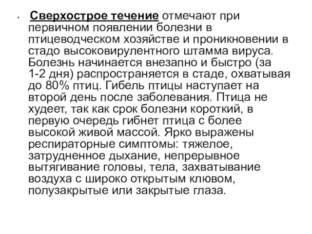 Сверхострое течение отмечают при первичном появлении болезни в птицеводческом хозяйстве и