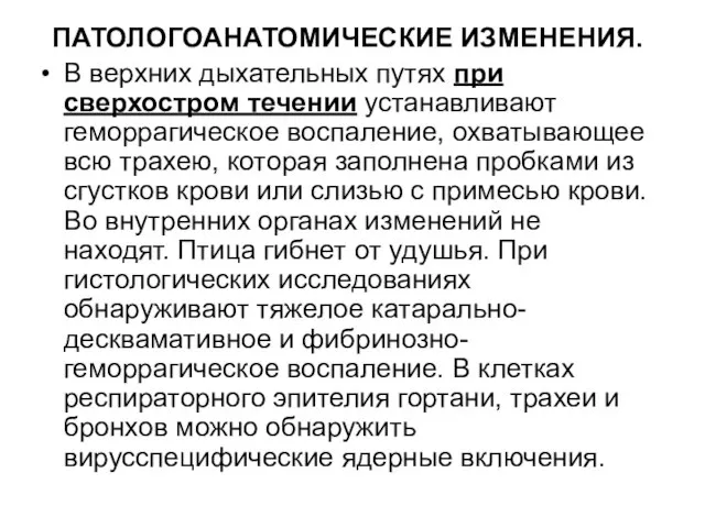 ПАТОЛОГОАНАТОМИЧЕСКИЕ ИЗМЕНЕНИЯ. В верхних дыхательных путях при сверхостром течении устанавливают геморрагическое