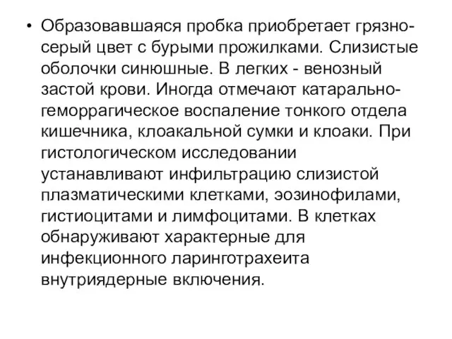 Образовавшаяся пробка приобретает грязно-серый цвет с бурыми прожилками. Слизистые оболочки синюшные.