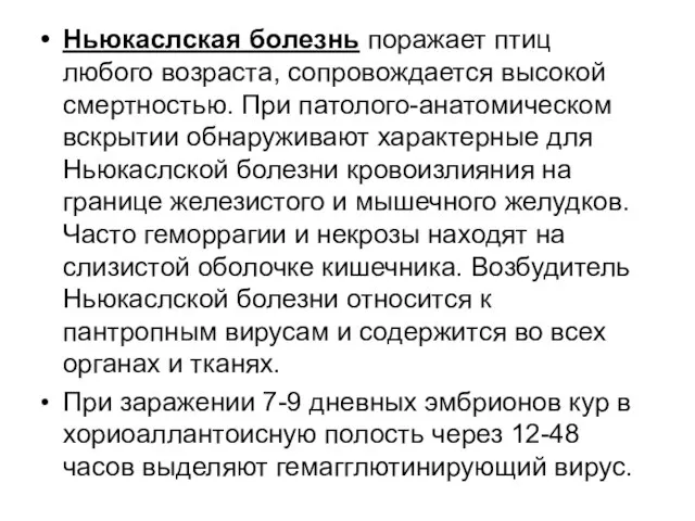 Ньюкаслская болезнь поражает птиц любого возраста, сопровождается высокой смертностью. При патолого-анатомическом