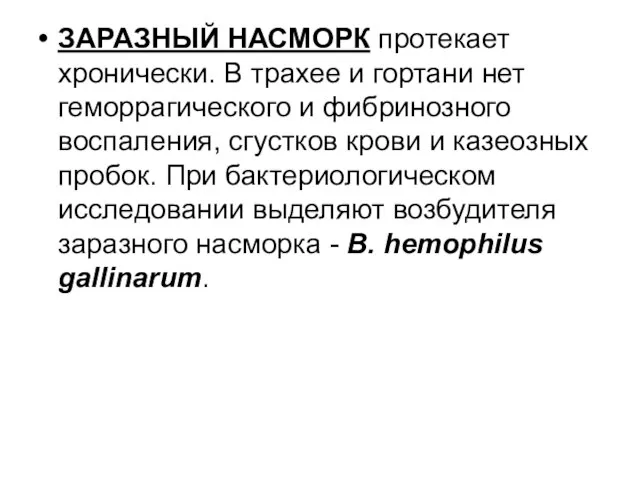 ЗАРАЗНЫЙ НАСМОРК протекает хронически. В трахее и гортани нет геморрагического и