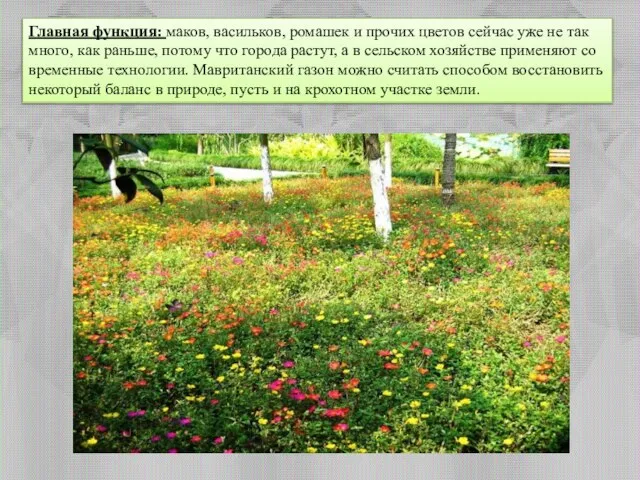 Главная функция: маков, васильков, ромашек и прочих цветов сейчас уже не