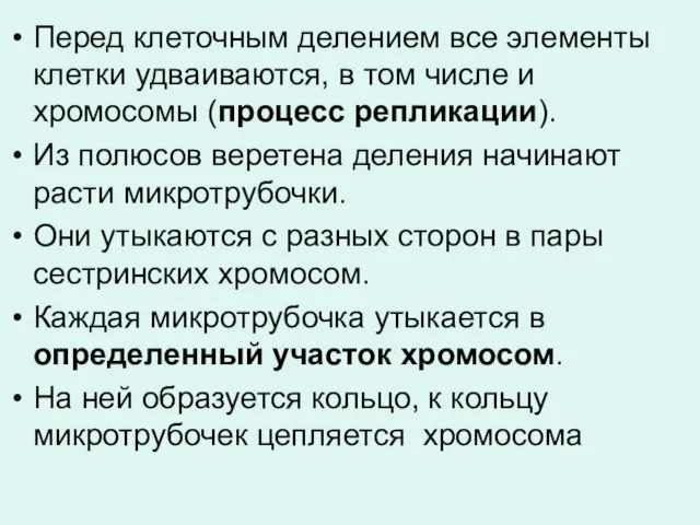 Перед клеточным делением все элементы клетки удваиваются, в том числе и