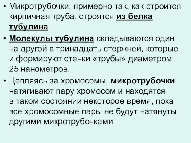 Микротрубочки, примерно так, как строится кирпичная труба, строятся из белка тубулина