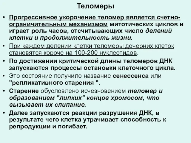 Теломеры Прогрессивное укорочение теломер является счетно-ограничительным механизмом митотических циклов и играет