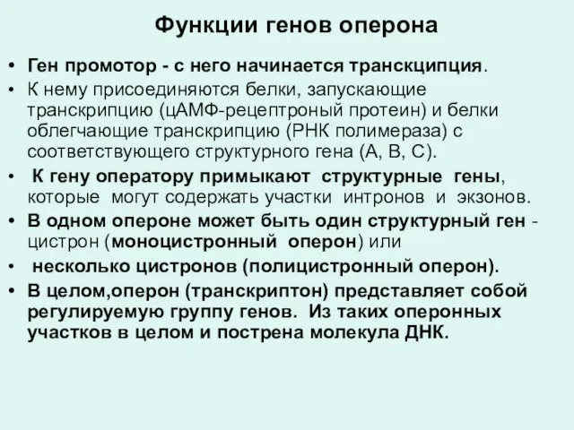 Функции генов оперона Ген промотор - с него начинается транскципция. К