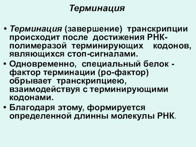 Терминация Терминация (завершение) транскрипции происходит после достижения РНК-полимеразой терминирующих кодонов, являющихся