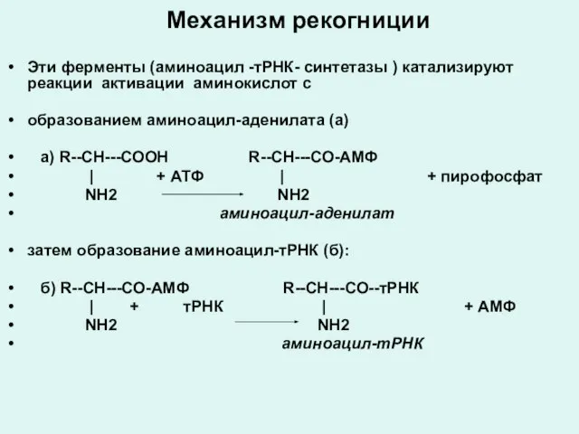 Механизм рекогниции Эти ферменты (аминоацил -тРНК- синтетазы ) катализируют реакции активации