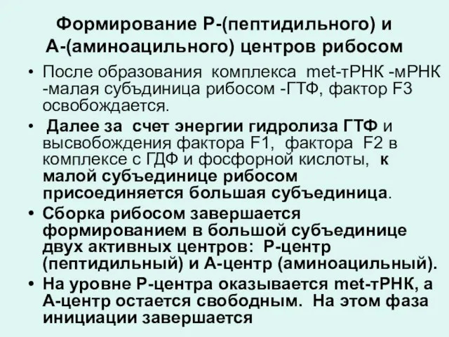 Формирование Р-(пептидильного) и А-(аминоацильного) центров рибосом После образования комплекса met-тРНК -мРНК